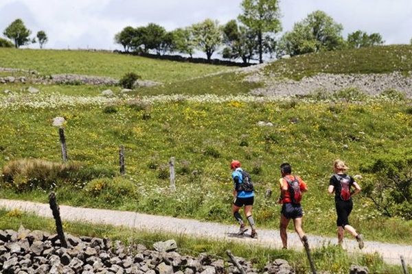 Un parcours exceptionnellement sec cette année pour le marathon des Burons.