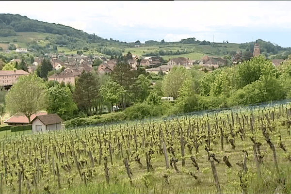 Arbois fait partie des douze communes en lice pour le titre de village préféré des français 