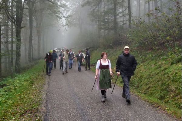 Un cortège de vaches vosgiennes, de marcaires et d’amis quittent les chaumes de Schmargult.