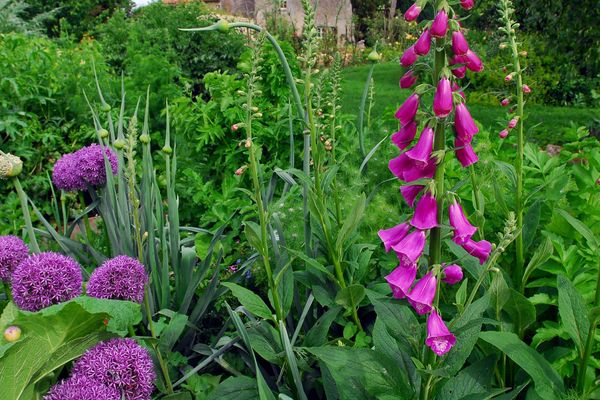 La 15ème édition de Rendez-Vous aux jardins a lieu ce week-end dans toute la France.