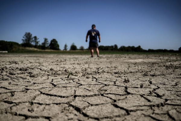 Un pisciculteur examine ce qu'il reste de son étang touché par la sécheresse, le 11 août 2023 près de Joyeux, dans le plateau de la Dombes, où certains étangs se sont presque totalement asséchés