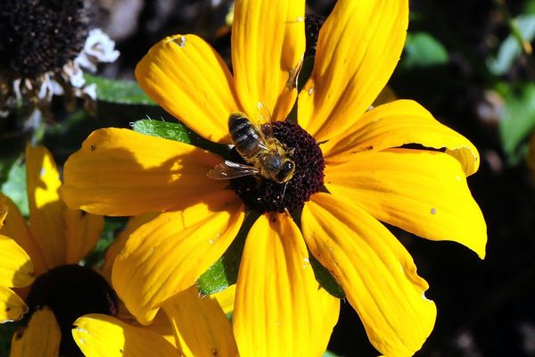 Soleil sur notre mercredi après-midi après une matinée nuageuse