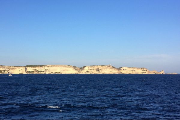 Les falaises de Bonifacio (Corse du Sud).