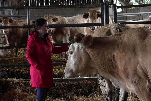 Anne-Cécile Suzanne dans sa ferme de mauves-sur-Huisne (Orne)