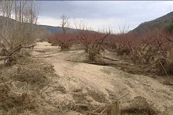 Drôme : un verger dévasté par la rivière Eyrieux.  13/1/15