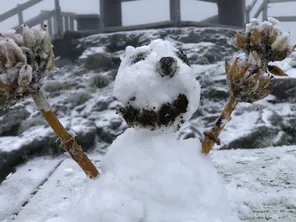 Les premières neiges sont tombées en Auvergne ce vendredi 13 septembre.