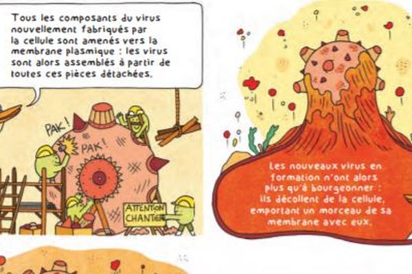 BD "La grippe, un virus des canards et des hommes"