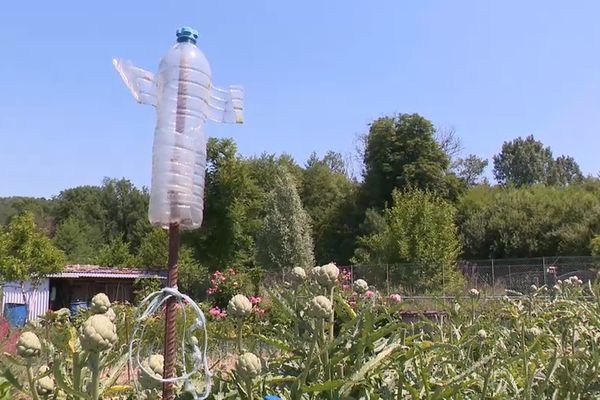 De nouvelles restrictions d'eau touchent l'Île-de-France