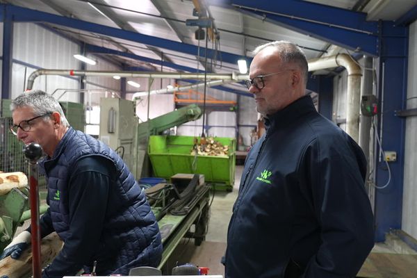 La scierie Hémard et Vignol, à Bussière-Galant en Haute-Vienne, célébrait cet automne son centenaire. Elle fait partie des rares scieries spécialisées dans la fabrication de ganivelles, de clôtures et de parquet avec du bois de châtaignier, l'une des essences les plus résistantes aux insectes et aux intempéries.