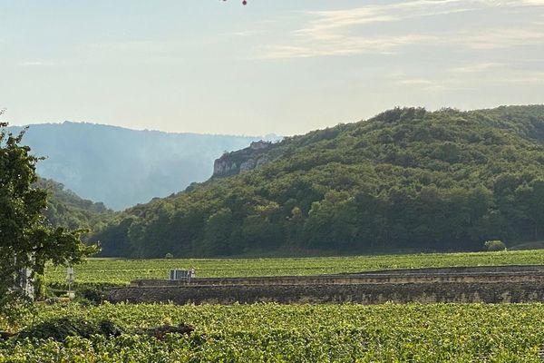 L'incendie s'est déclaré ce jeudi après-midi au niveau de la Combe-Lavaux, à Gevrey-Chambertin.