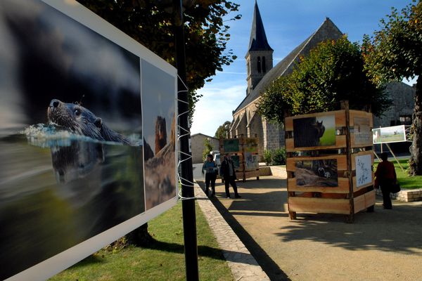 Le festival du film ornithologique de Ménigoute attire des passionnés de nature