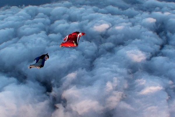 Tels des oiseaux, ils se jettent dans le vide !