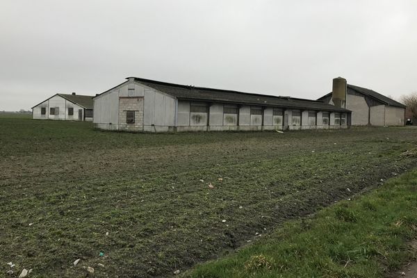 Les autres élevages seront eux aussi examinés. 