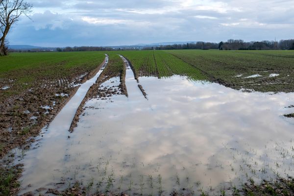 Dans un champ détrempé, difficile de faire passer un tracteur pour traiter les semis