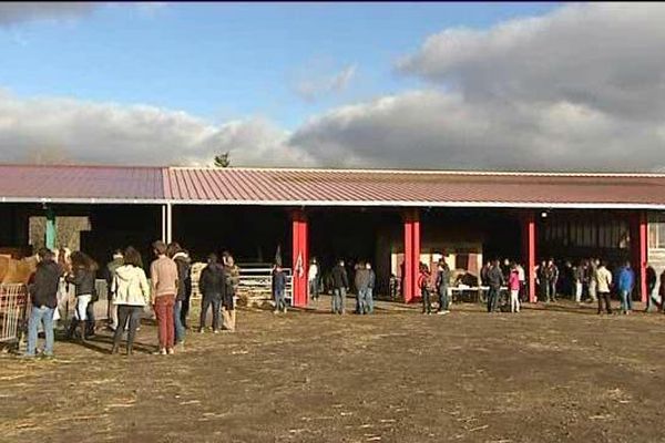 Les élèves des trois lycées agricoles publics de Haute-Loire participaient à la finale départementale du concours de jugement d’animaux ce mercredi 9 décembre à Costaros (Allier).