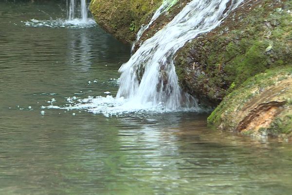 De la cascade foisonnante de Barjols, il ne reste plus qu'un filet d'eau, en plein mois de janvier. Un débit équivalent à celui d'une période estivale.