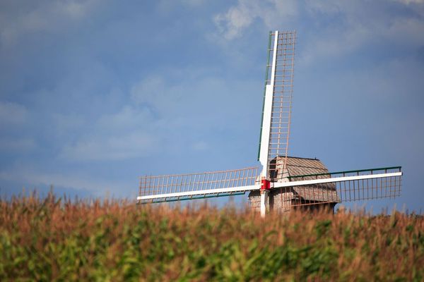 Un moulin à vent à Coquelles, près de Calais. Photo d'illustration. 