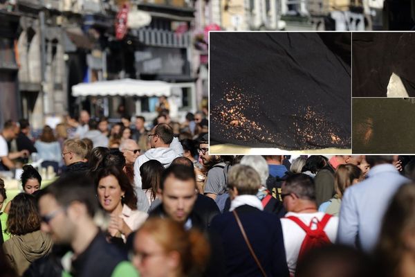 Des couples homosexuels ont reçu de l'eau de javel et de la peinture alors qu'ils se promenaient dans les allées de la braderie de Lille.