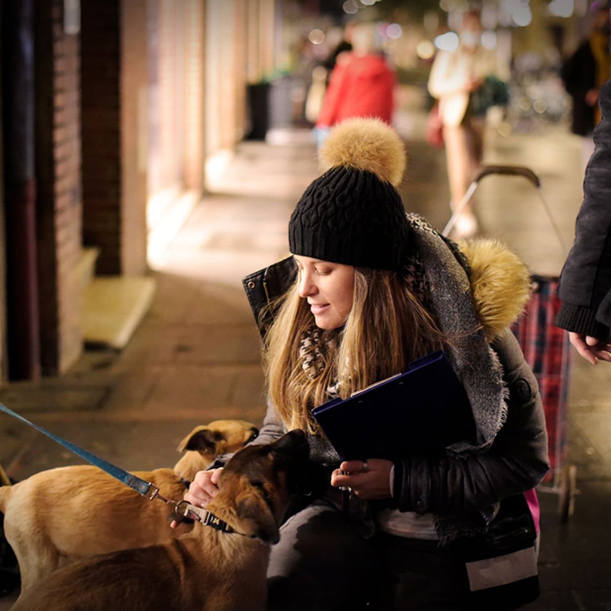 Comment Aider Les Sdf Et Leurs Chiens : La Solution De L'association  Gamelles Pleines