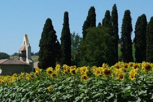 Peyrissas, en Haute-Garonne, compte 90 habitants. 