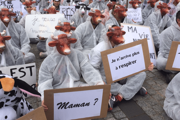 L'association a mis en scène une "usine" à veaux et un abattoir à ciel ouvert.