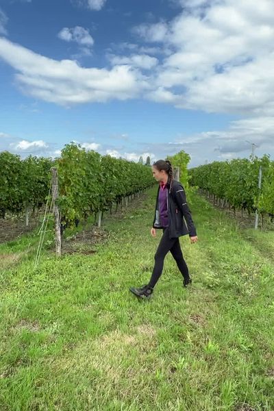 Axelle Mayet, 25 ans, une vigneronne accomplie