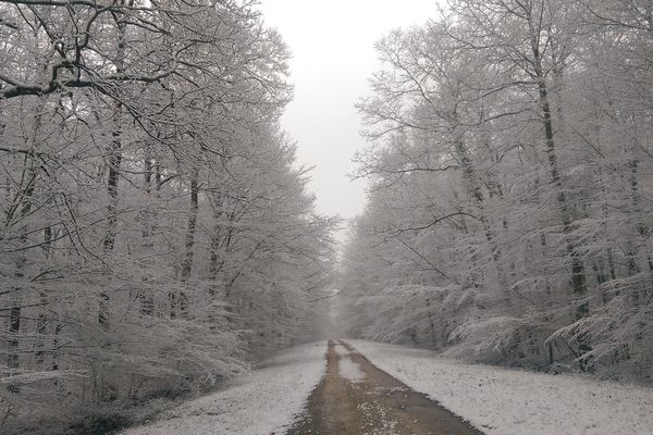 La Sologne sous la neige