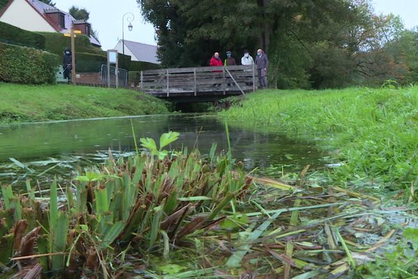 Un bras de rivière sur la plaine du Moulin-Baudet.