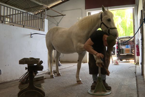 À 24 ans, Baptiste Cottier est maréchal-ferrant. Avec son atelier à bord de sa fourgonnette, il arpente les routes des Landes et du Pays Basque pour s'occuper des chevaux.