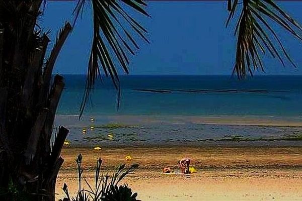 Un air de Polynésie ? Cette photo a été prise le 25 juin à ... Donville Les bains, dans la Manche