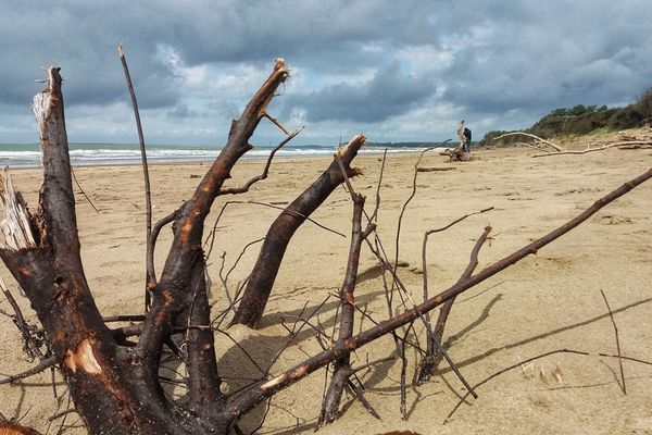 Des éclaircies se développent sur la Grande Côte en Charente Maritime