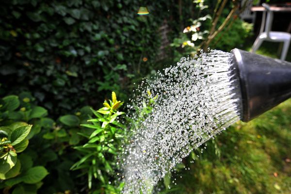 Alerte sécheresse dans le Puy-de-Dôme, l'usage de l'eau réglementé par un arrêté préfectoral du 1er au 30 octobre 