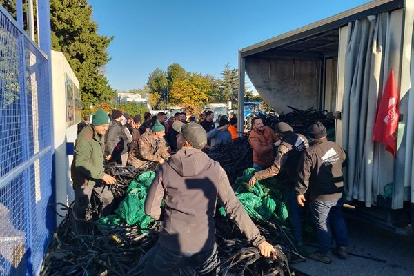 Mercredi 27 novembre, les agriculteurs du Vaucluse déversent du fumier et des arbres devant la MSA à Avignon, avant de souder symbolique le portail de cet organisme de Sécurité sociale agricole.