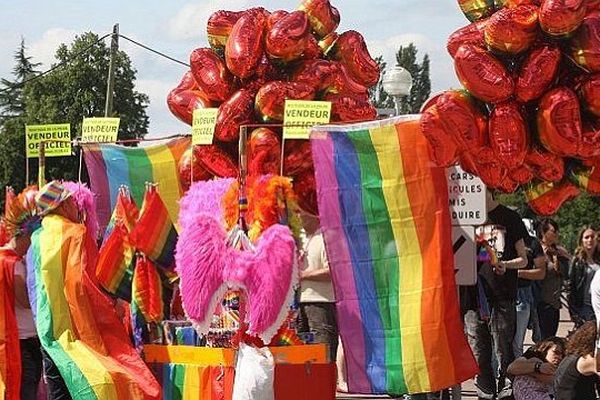 La première Marche des fiertés de Bourgogne avait été organisée dans l'Yonne en juin 2012. 