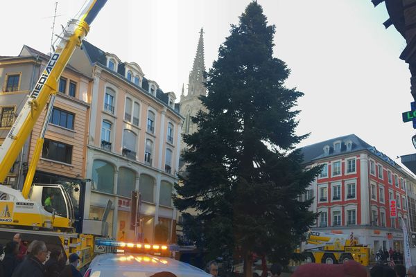 Le sapin de Noël est arrivé à Mulhouse, un Nordmann de 16 mètres de haut.