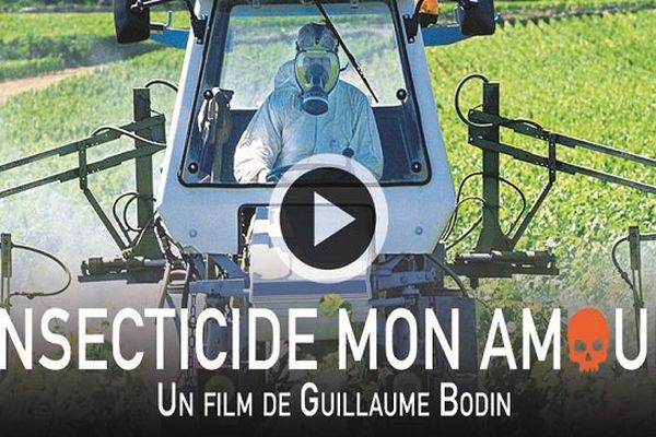 L'affiche du film "Insecticides mon amour" de Guillaume Bodin