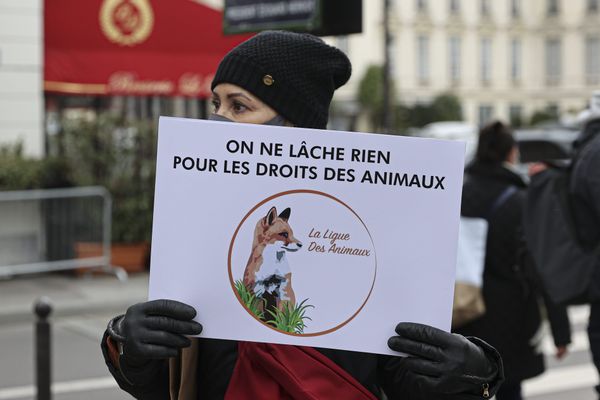 Manifestation devant l'Assemblée nationale, Paris, 26 janvier 2021