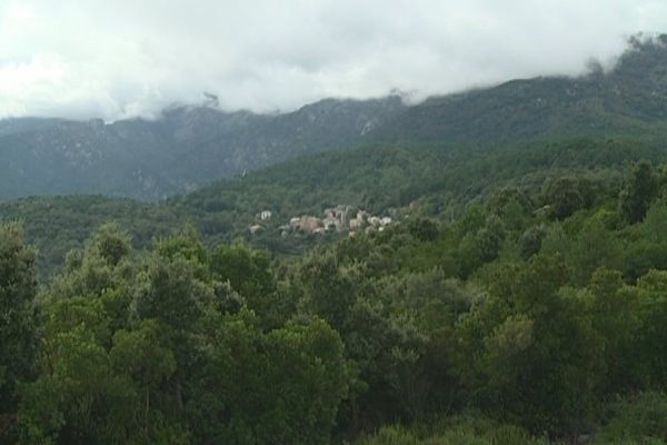 A 700 mètres d'altitude dans le Fiumorbu en Haute-Corse