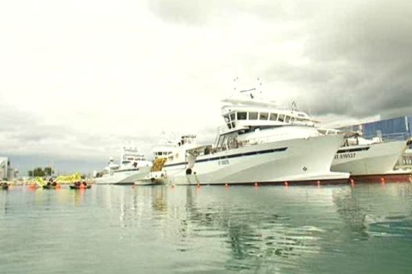 Les thoniers de l'armement sétois Avallone, amarrés dans le port de Frontignan.