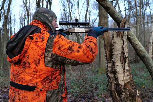 Des mesures viennent d'être dévoilées pour mieux encadrer la chasse