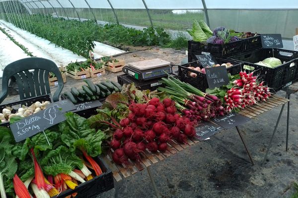 Il est possible de composer ses paniers de légumes récoltés la veille ou le jour-même ou d'en commander des tout prêts.