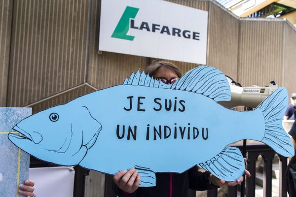 Un militant de l'association Paris Animaux Zoopolis lors d'une manifestation contre les pollutions dans la Seine du cimentier Lafarge, le 7 septembre 2020.