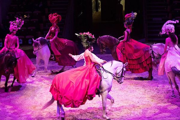 Le spectacle est à découvrir jusqu'à fin novembre au musée du cheval à Chantilly