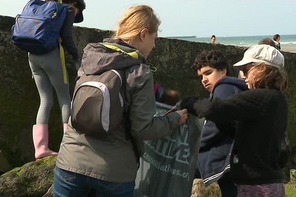 Ces élèves de 6e sont venus de la région parisienne pour ramasser les déchets sur la plage de Wimereux.