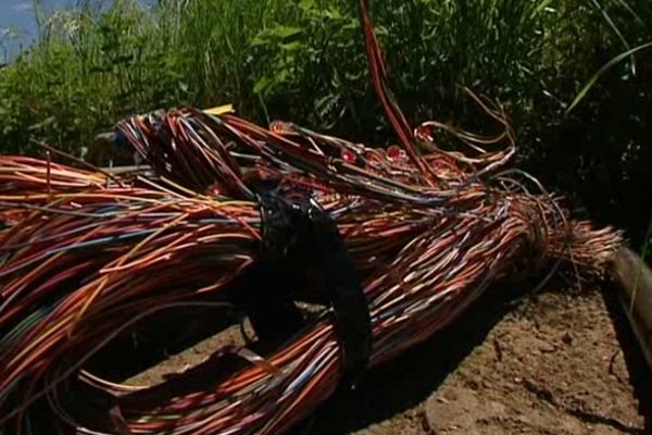 Une partie des câbles téléphoniques volés a été abandonnée par les malfaiteurs.