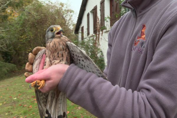 Lydie Bourdeau, ses parents et son fils Louis, trois générations au service de la faune sauvage en détresse dans la Vienne