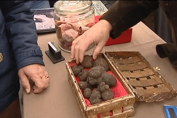 Affluence au marché aux truffes de Saint-Paul-Trois-Châteaux