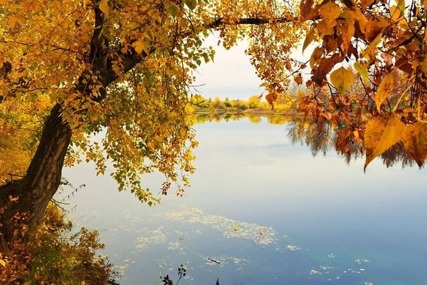 Le mois de novembre débute dans une grande douceur 