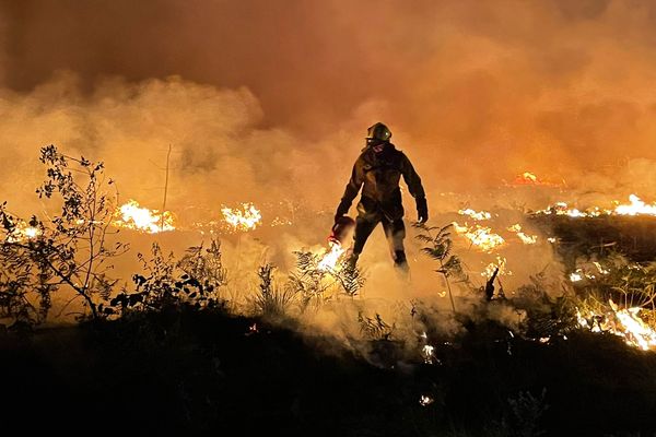 Ete 2022. Dans le secteur de Landiras, les pompiers allument des feux tactiques pour ralentir la progression de l'incendie