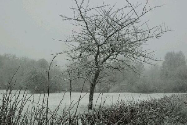 Une couche de neige de quelques centimètres dans la région de Crocq (Creuse), mardi 5 février 2013